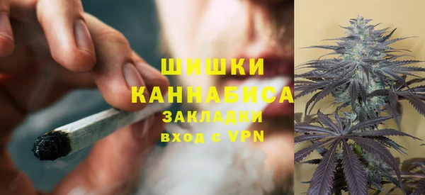 бошки Бронницы