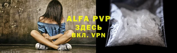 mdpv Бородино