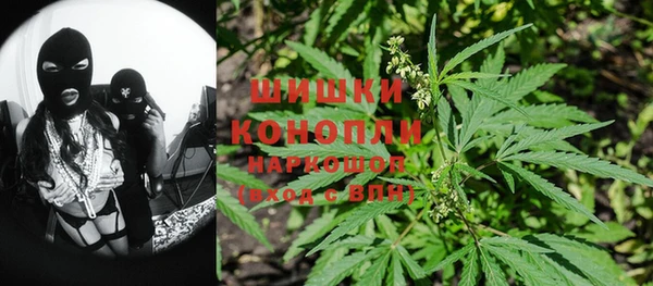 бошки Бронницы