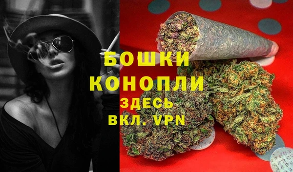 бошки Бронницы
